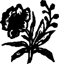 065/065920050001100_0.png