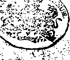 065/065970070000010_0.png