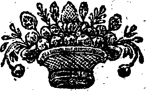 065/065970210000010_1.png
