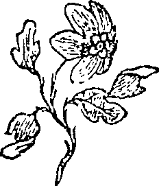 066/066020010100280_0.png
