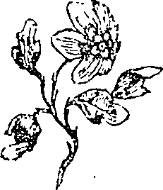 066/066020010101310_0.png