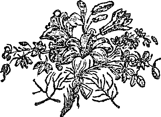 066/066020010101510_0.png