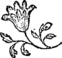 066/066020010101690_0.png