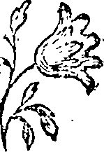 066/066020010102080_0.png