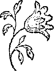 066/066020010200440_0.png