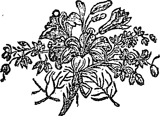 066/066020010201130_0.png