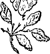 066/066020010201270_0.png