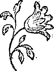 066/066020010201780_0.png