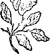 066/066020010301570_0.png