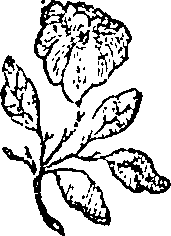 066/066020010401680_1.png