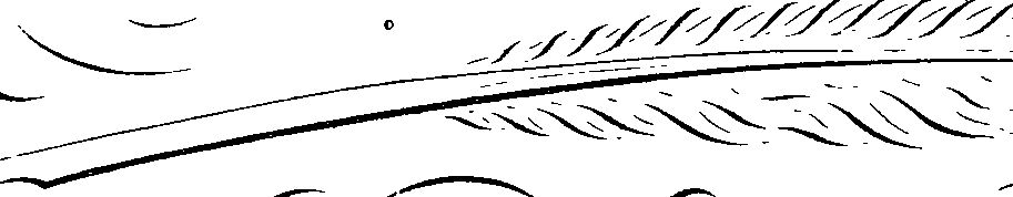 066/066030040000120_1.png