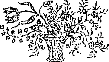 066/066090050000020_1.png