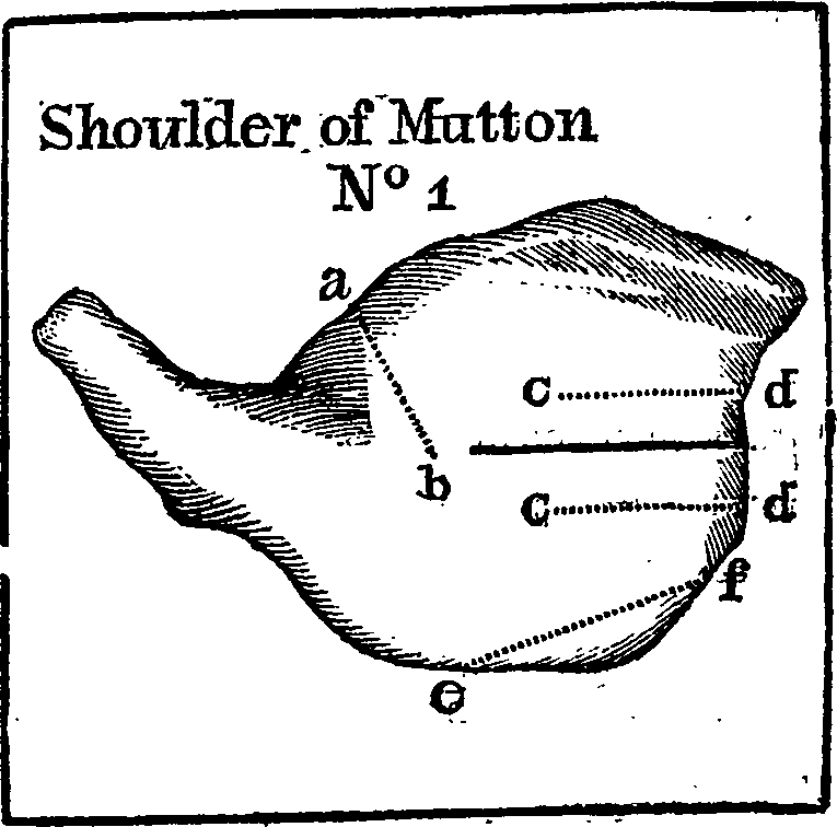066/066170080000310_0.png