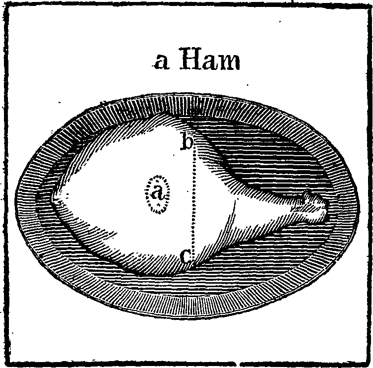 066/066170080000480_0.png