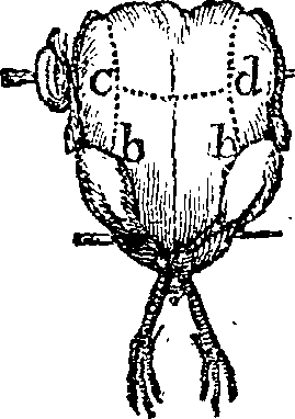066/066170080000750_0.png