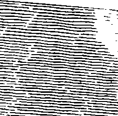066/066250170000660_1.png