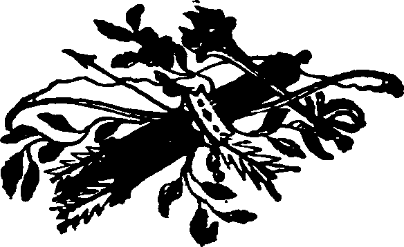 066/066360020000550_0.png