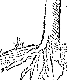 066/066390090004430_0.png