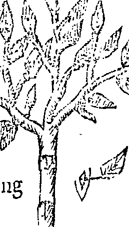 066/066390090004460_0.png