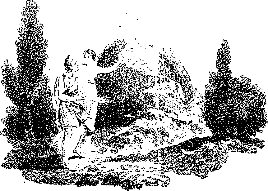 066/066410060200020_0.png