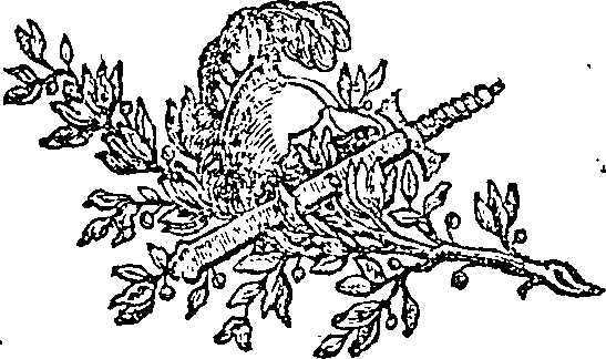 066/066430010002790_0.png