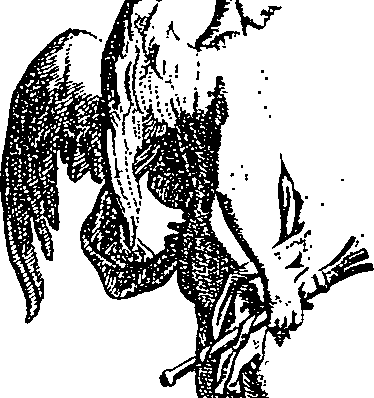 066/066480040000320_1.png