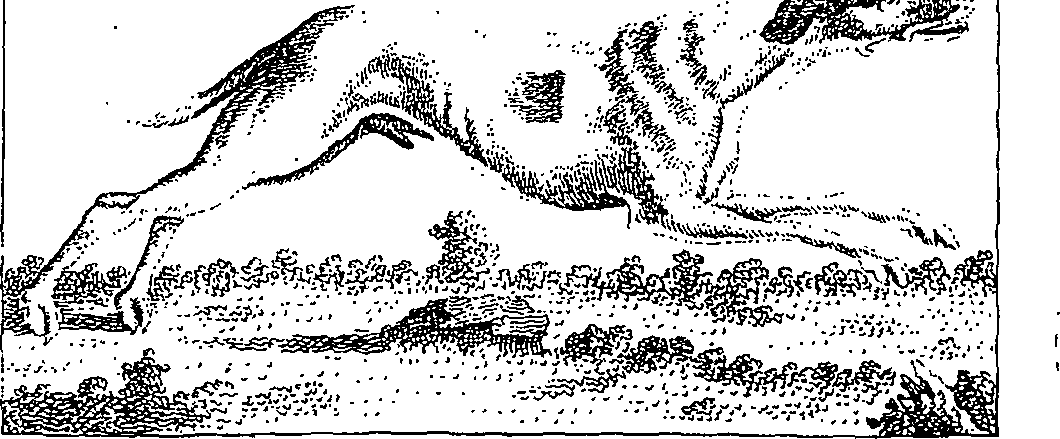 066/066480040000420_0.png