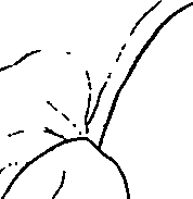 066/066480040000760_0.png