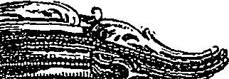 066/066480040000820_0.png