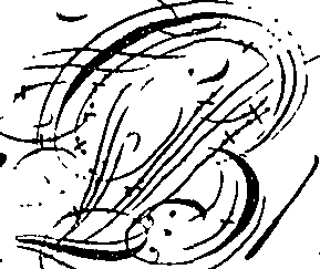066/066480060100010_0.png