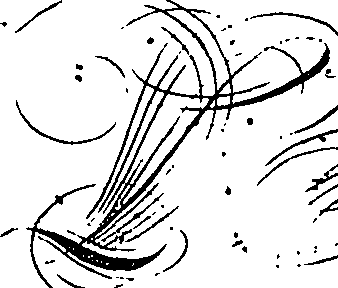 066/066480060100010_1.png