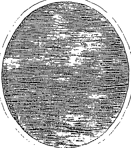 066/066480060100820_0.png