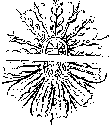 066/066480140000740_0.png