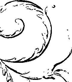 066/066480140000740_1.png
