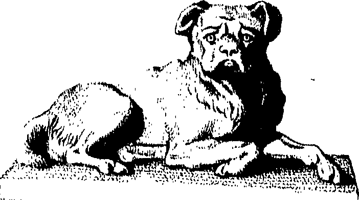 066/066490020200160_0.png