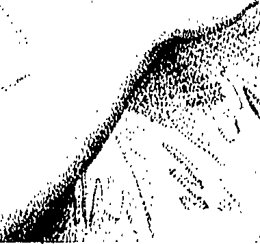 066/066490020201510_0.png