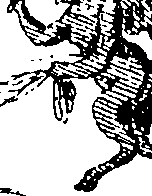 066/066490070000740_0.png
