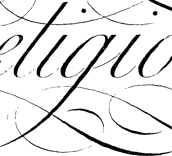066/066490080000240_3.png