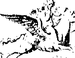 066/066490080000310_0.png