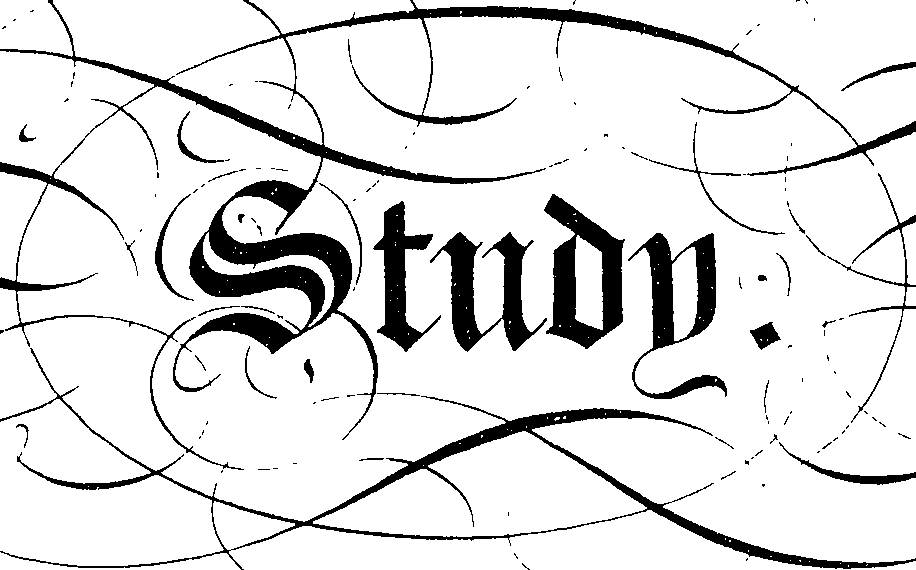 066/066490080000310_1.png