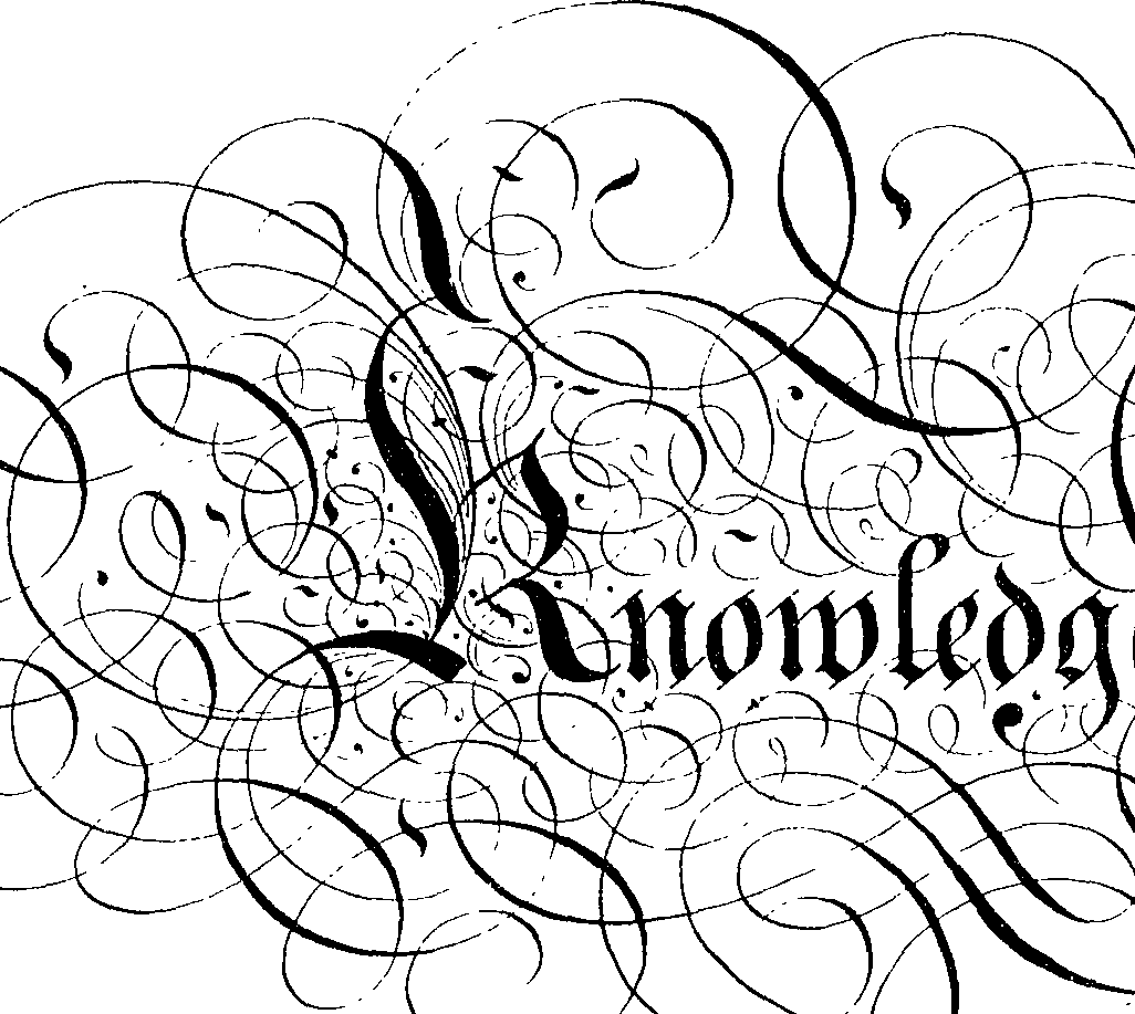 066/066490080000330_1.png