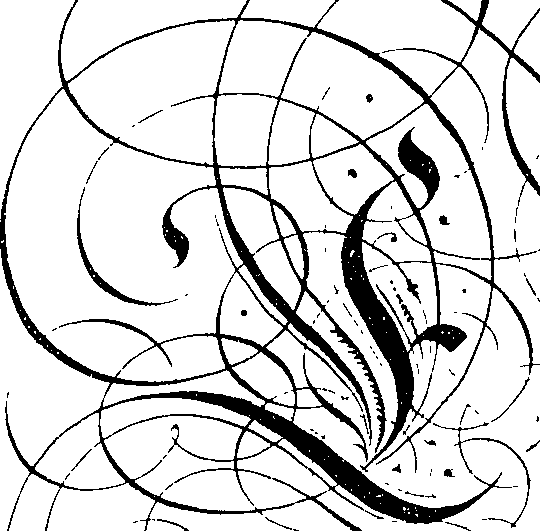 066/066490080000660_3.png