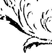 066/066490080000820_0.png