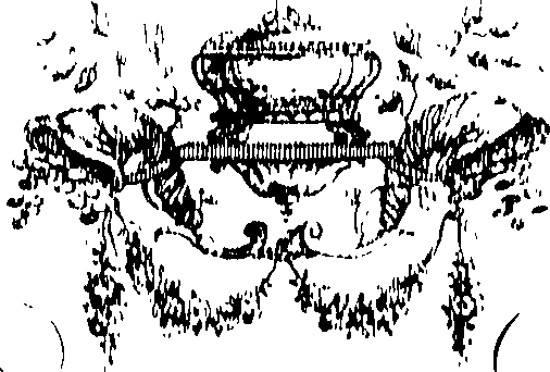 066/066490080000890_0.png