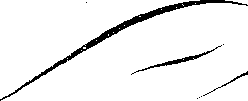 066/066490080000960_1.png