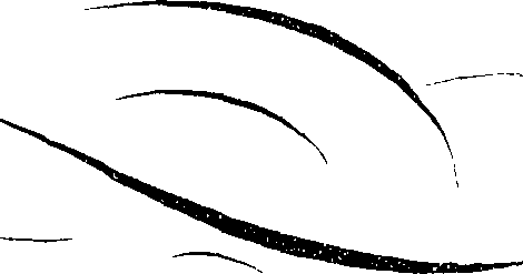 066/066490080000960_2.png