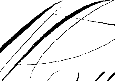 066/066490080000960_3.png
