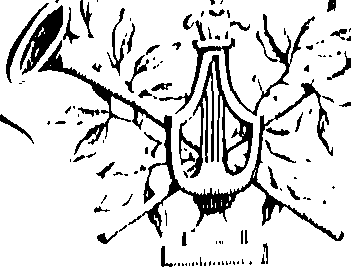 066/066490080000980_0.png