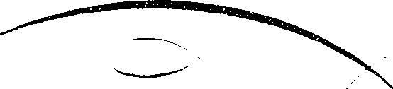 066/066490080001060_2.png