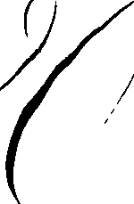 066/066490080001100_0.png